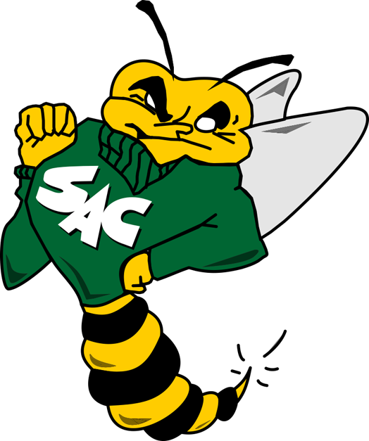 Sacramento State Hornets 1991-2003 Primary Logo vinyl decal